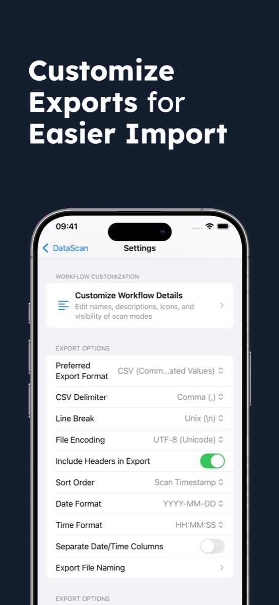DataScan export settings for Excel and CSV: format, delimiter, headers, date format and file naming